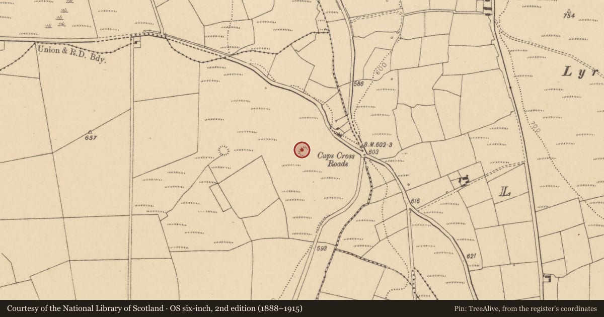 Ordnance Survey six-inch map, 2nd edition (1888–1915) covering the location of Enclosure, Pluckanes North, County Cork, with a pin at the register's coordinates