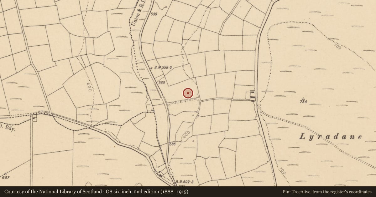Ordnance Survey six-inch map, 2nd edition (1888–1915) covering the location of Fulacht fia, Lyradane, County Cork, with a pin at the register's coordinates