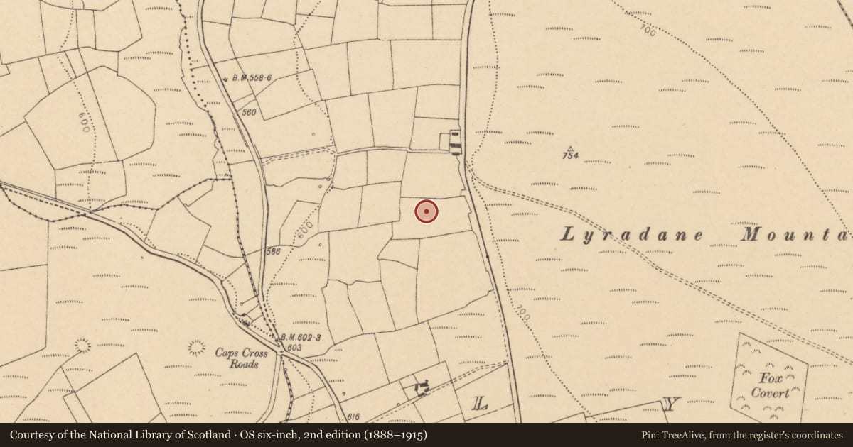 Ordnance Survey six-inch map, 2nd edition (1888–1915) covering the location of Standing stone, Lyradane, County Cork, with a pin at the register's coordinates