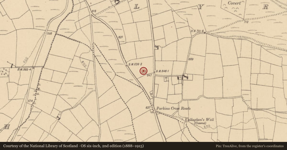 Ordnance Survey six-inch map, 2nd edition (1888–1915) covering the location of Ringfort - rath, Lyradane, County Cork, with a pin at the register's coordinates