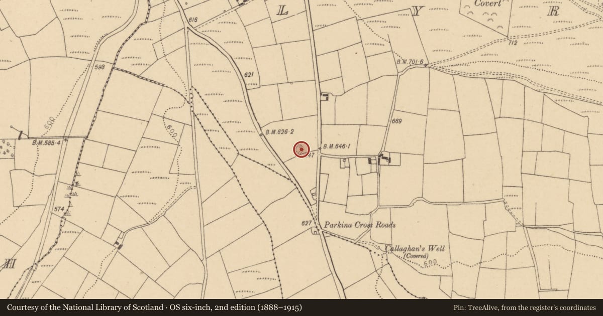 Ordnance Survey six-inch map, 2nd edition (1888–1915) covering the location of Standing stone, Lyradane, County Cork, with a pin at the register's coordinates
