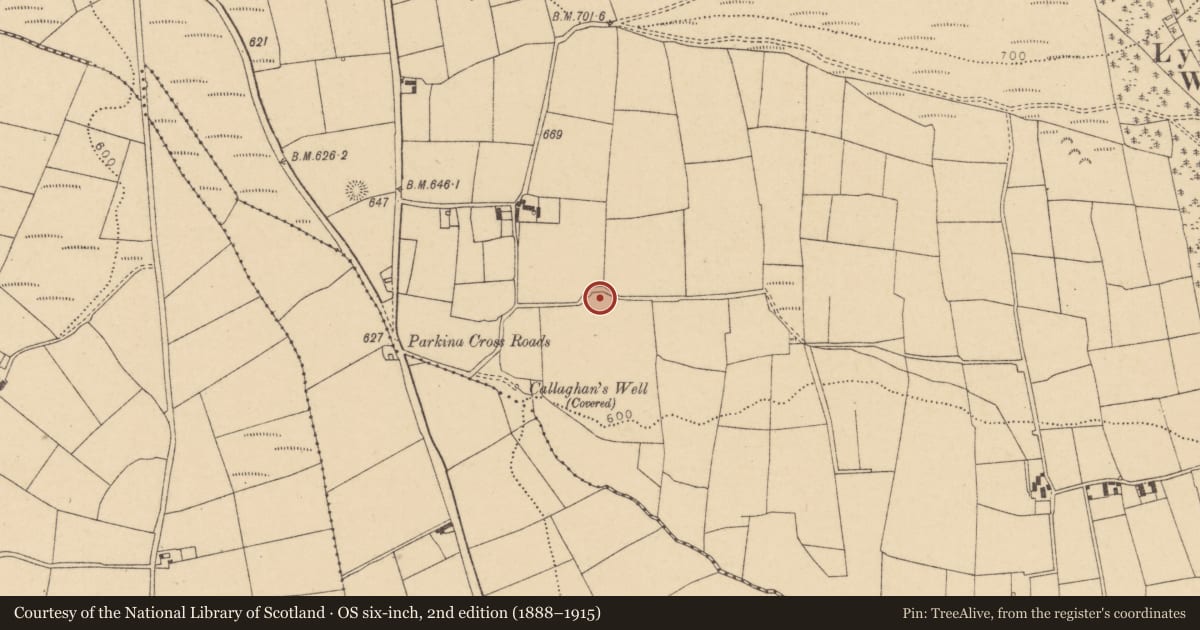 Ordnance Survey six-inch map, 2nd edition (1888–1915) covering the location of Ringfort - rath, Lyradane, County Cork, with a pin at the register's coordinates