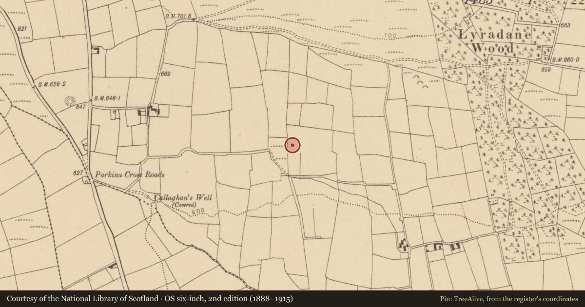Ordnance Survey six-inch map, 2nd edition (1888–1915) covering the location of Fulacht fia, Lyradane, County Cork, with a pin at the register's coordinates