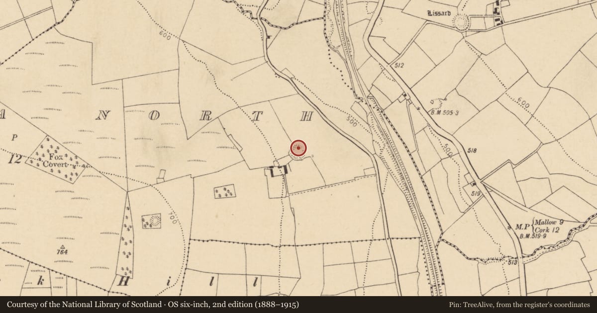Ordnance Survey six-inch map, 2nd edition (1888–1915) covering the location of Ringfort - rath, Knockantota North, County Cork, with a pin at the register's coordinates