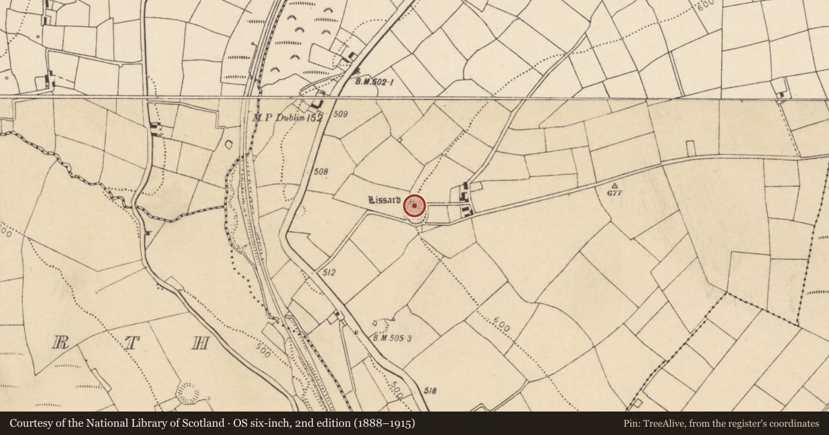 Ordnance Survey six-inch map, 2nd edition (1888–1915) covering the location of Ringfort - rath, Lissard, County Cork, with a pin at the register's coordinates