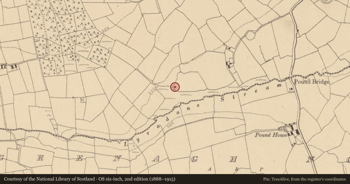 Ordnance Survey six-inch map, 2nd edition (1888–1915) covering the location of Kiln - lime, Lyradane, County Cork, with a pin at the register's coordinates