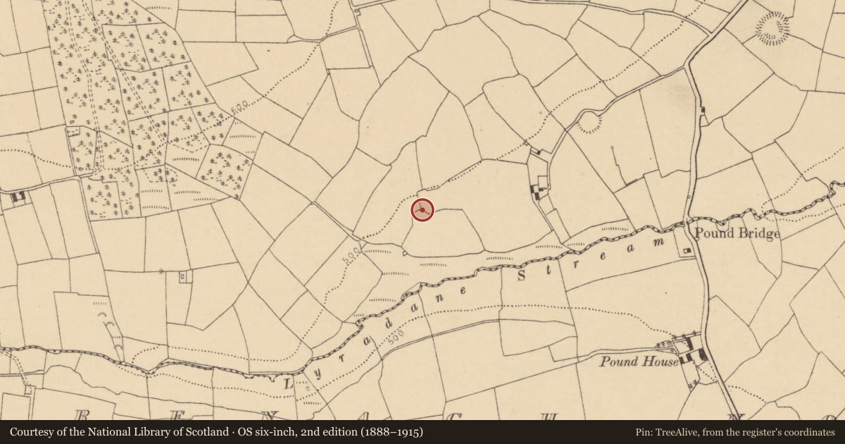 Ordnance Survey six-inch map, 2nd edition (1888–1915) covering the location of Ringfort - rath, Lyradane, County Cork, with a pin at the register's coordinates
