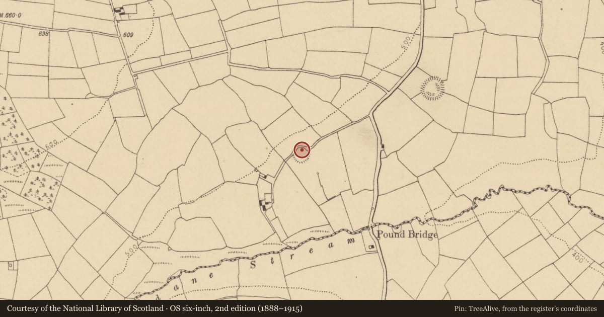 Ordnance Survey six-inch map, 2nd edition (1888–1915) covering the location of Ringfort - rath, Lyradane, County Cork, with a pin at the register's coordinates