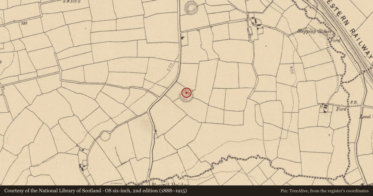 Ordnance Survey six-inch map, 2nd edition (1888–1915) covering the location of Ringfort - rath, Lyradane, County Cork, with a pin at the register's coordinates