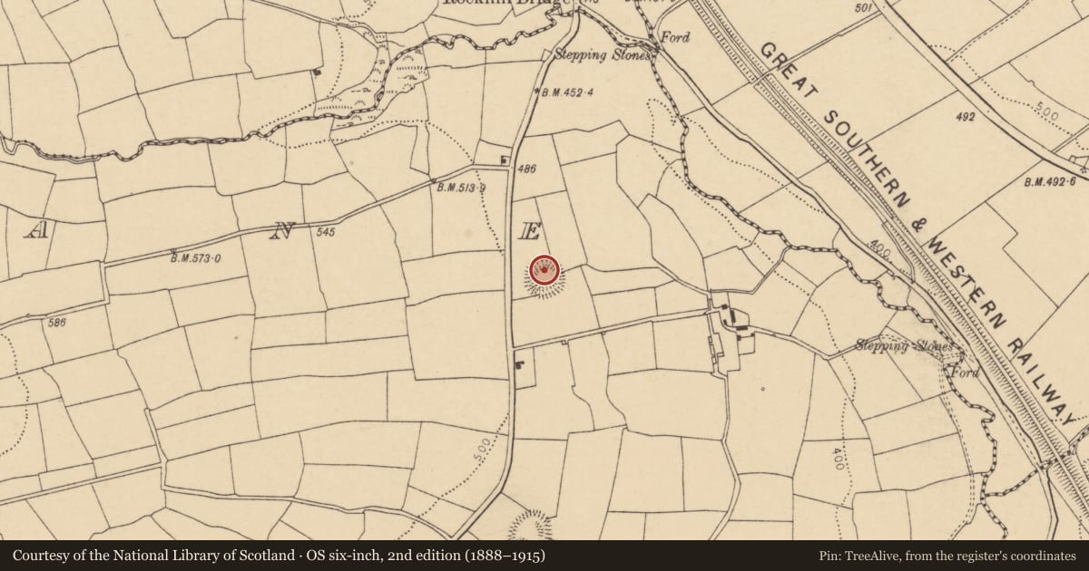 Ordnance Survey six-inch map, 2nd edition (1888–1915) covering the location of Ringfort - rath, Lyradane, County Cork, with a pin at the register's coordinates