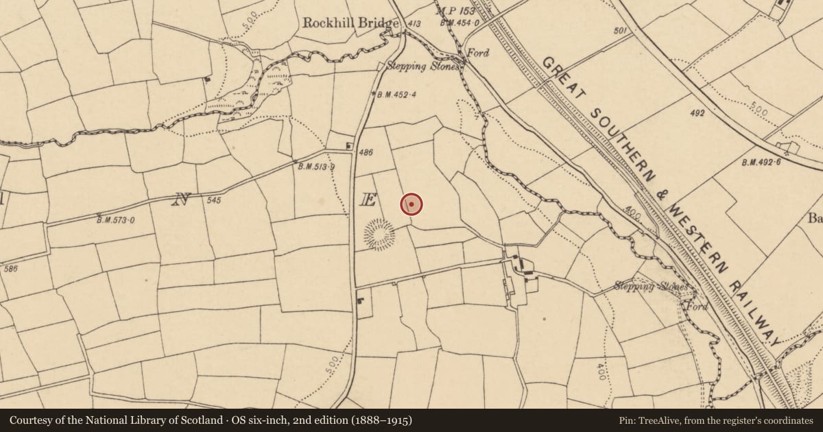 Ordnance Survey six-inch map, 2nd edition (1888–1915) covering the location of Fulacht fia, Lyradane, County Cork, with a pin at the register's coordinates