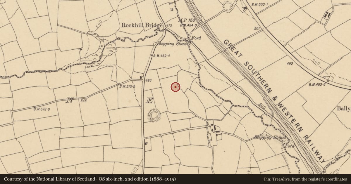 Ordnance Survey six-inch map, 2nd edition (1888–1915) covering the location of Fulacht fia, Lyradane, County Cork, with a pin at the register's coordinates