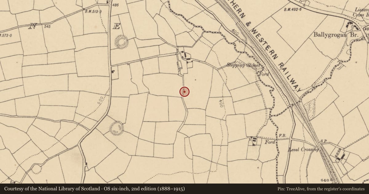 Ordnance Survey six-inch map, 2nd edition (1888–1915) covering the location of Fulacht fia, Lyradane, County Cork, with a pin at the register's coordinates