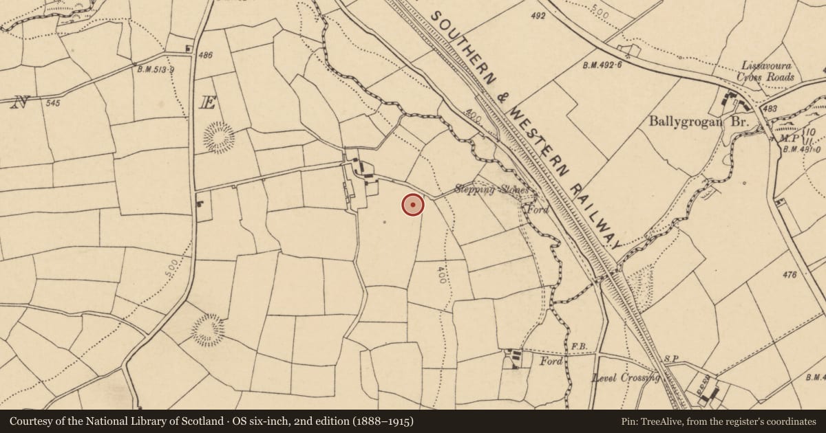 Ordnance Survey six-inch map, 2nd edition (1888–1915) covering the location of Fulacht fia, Lyradane, County Cork, with a pin at the register's coordinates