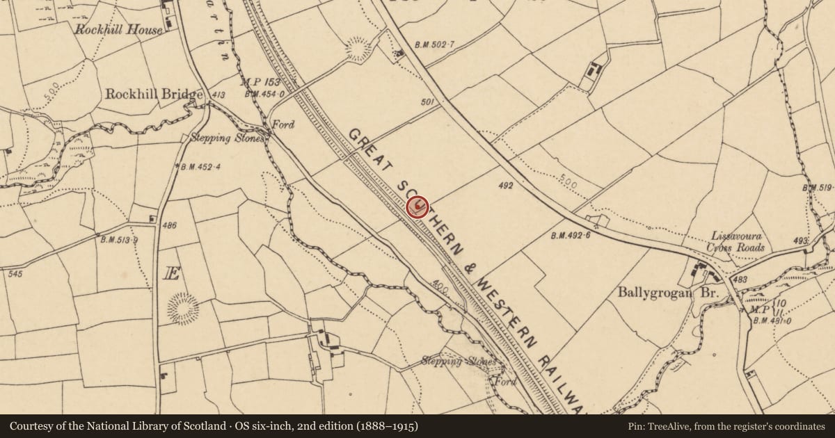 Ordnance Survey six-inch map, 2nd edition (1888–1915) covering the location of Ringfort - rath, Lissavoura, County Cork, with a pin at the register's coordinates