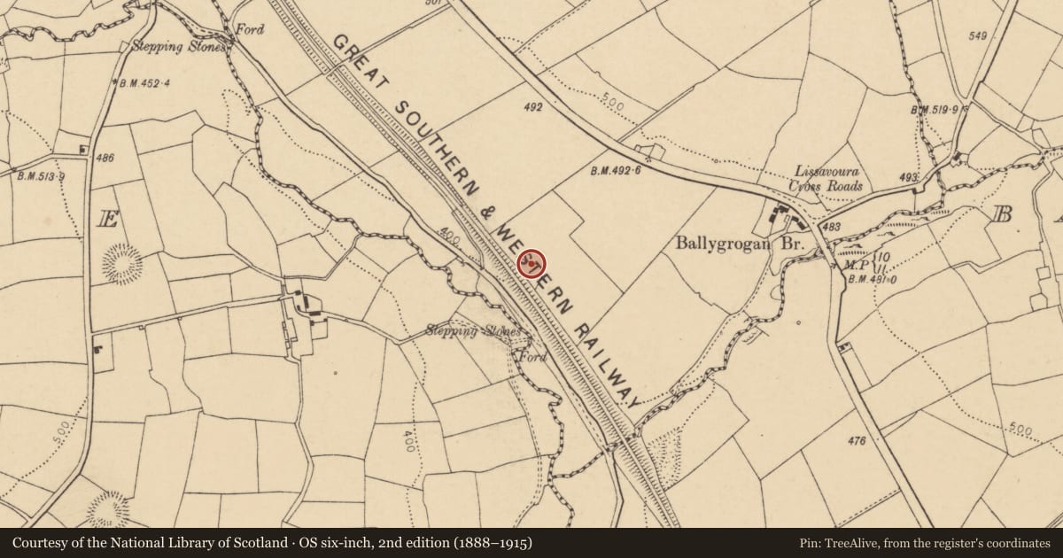 Ordnance Survey six-inch map, 2nd edition (1888–1915) covering the location of Burial ground, Lissavoura, County Cork, with a pin at the register's coordinates