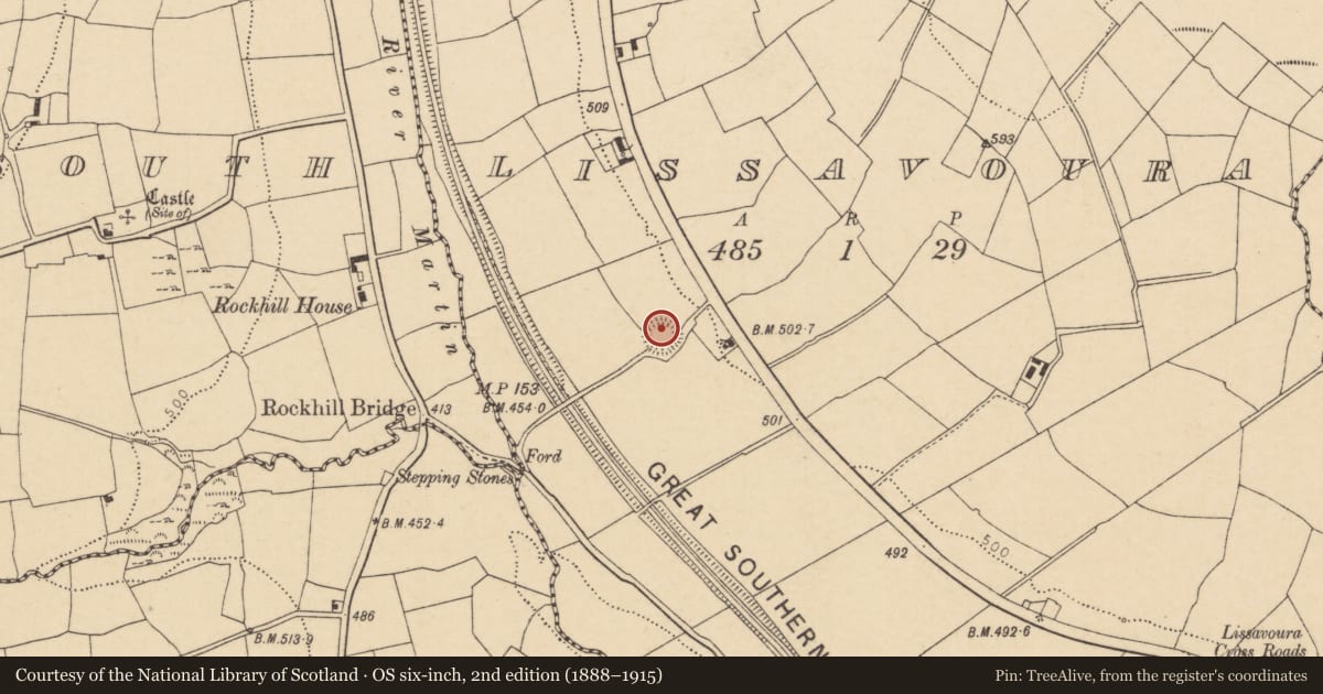 Ordnance Survey six-inch map, 2nd edition (1888–1915) covering the location of Ringfort - rath, Lissavoura, County Cork, with a pin at the register's coordinates