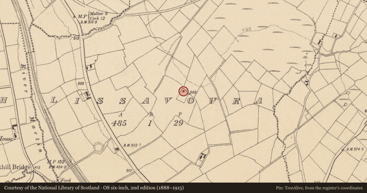 Ordnance Survey six-inch map, 2nd edition (1888–1915) covering the location of Moated site, Lissavoura, County Cork, with a pin at the register's coordinates