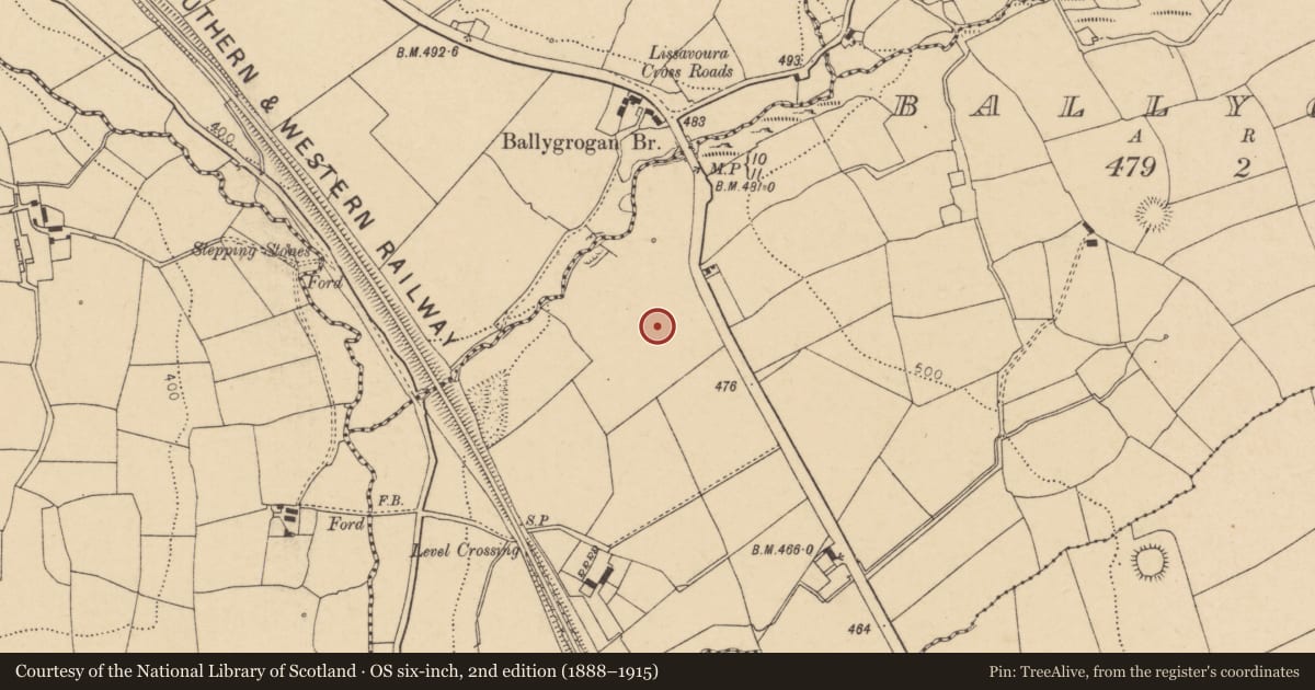 Ordnance Survey six-inch map, 2nd edition (1888–1915) covering the location of Ringfort - rath, Ballygrogan, County Cork, with a pin at the register's coordinates