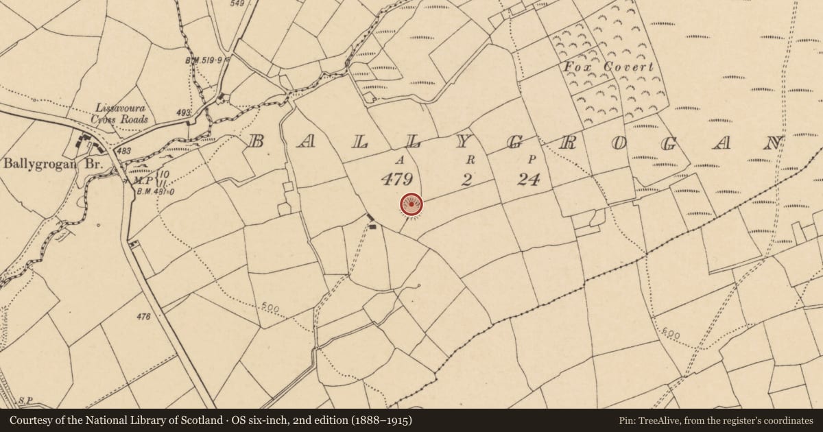 Ordnance Survey six-inch map, 2nd edition (1888–1915) covering the location of Ringfort - rath, Ballygrogan, County Cork, with a pin at the register's coordinates