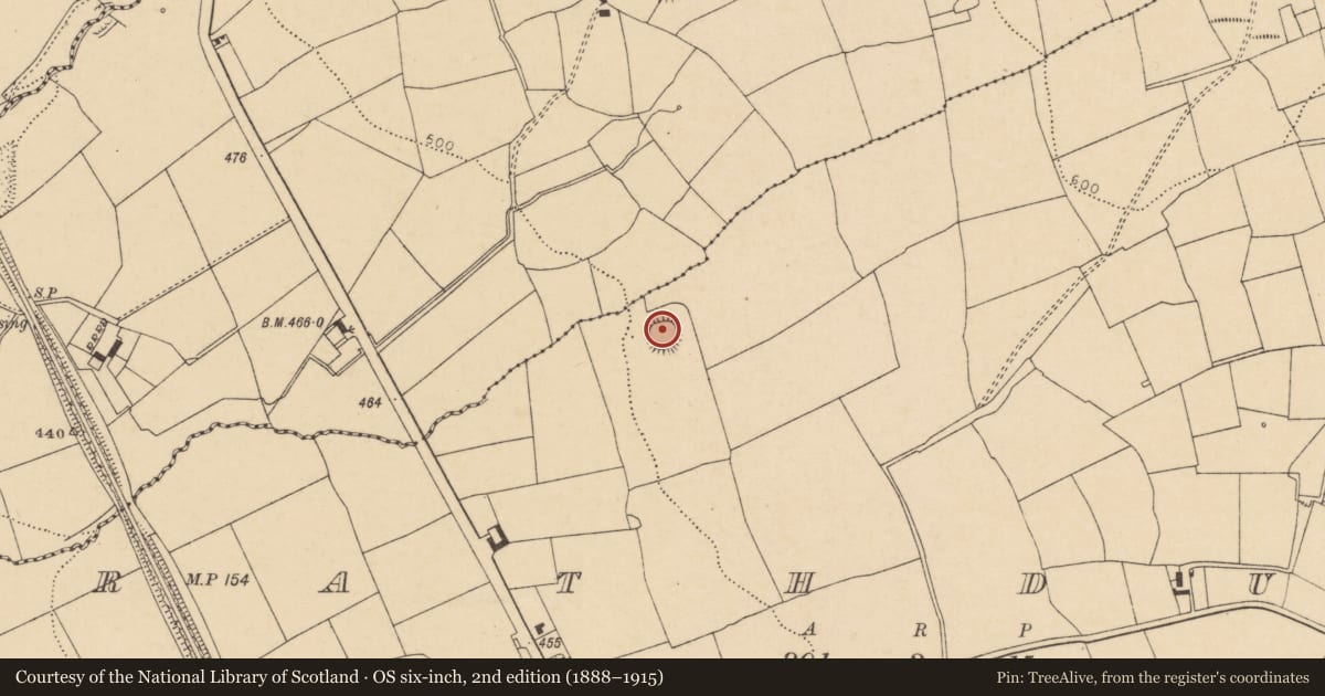 Ordnance Survey six-inch map, 2nd edition (1888–1915) covering the location of Ringfort - rath, Rathduff, County Cork, with a pin at the register's coordinates
