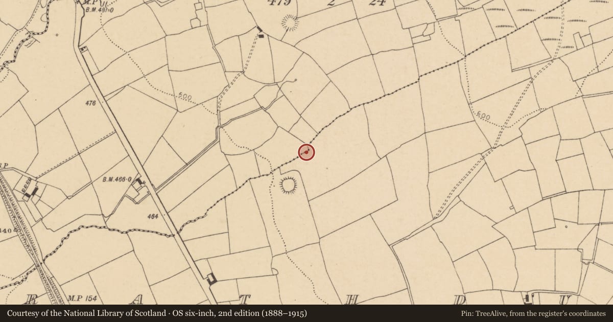 Ordnance Survey six-inch map, 2nd edition (1888–1915) covering the location of Fulacht fia, Rathduff, County Cork, with a pin at the register's coordinates