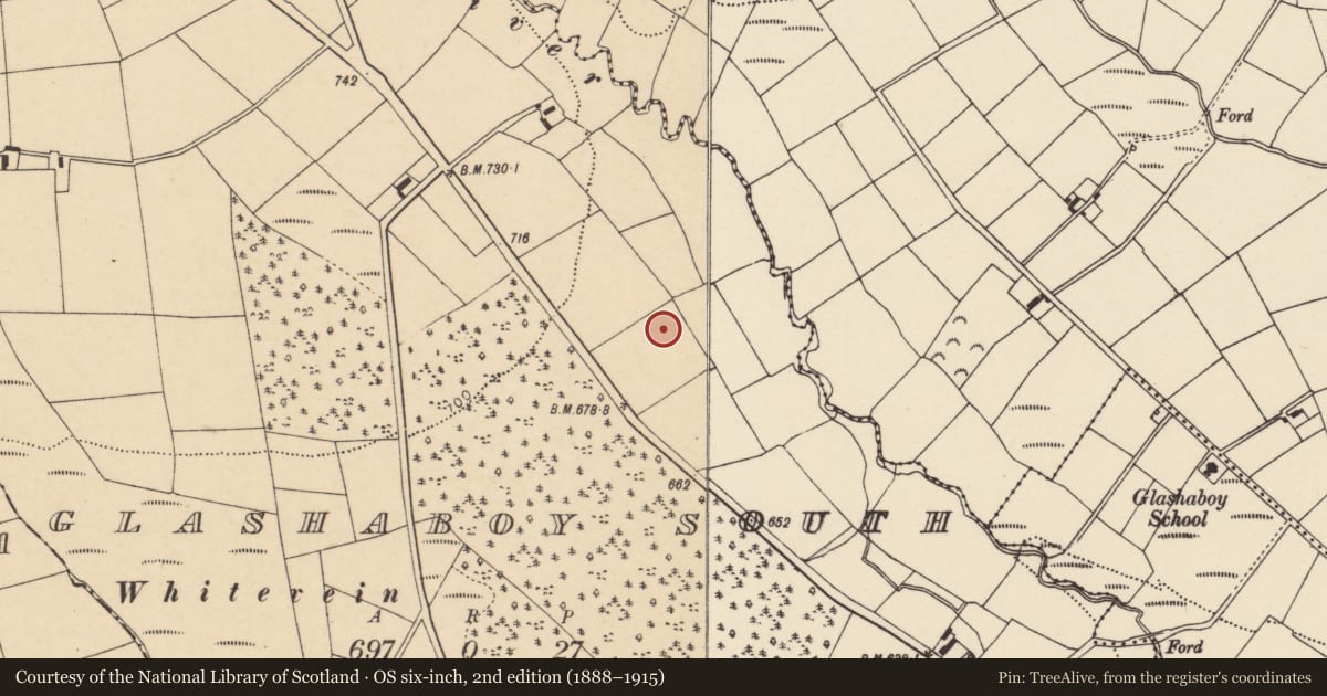 Ordnance Survey six-inch map, 2nd edition (1888–1915) covering the location of Ogham stone, Glashaboy South, County Cork, with a pin at the register's coordinates