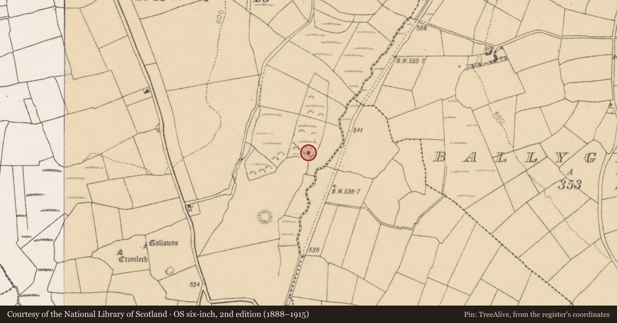 Ordnance Survey six-inch map, 2nd edition (1888–1915) covering the location of Fulacht fia, Pluckanes North, County Cork, with a pin at the register's coordinates