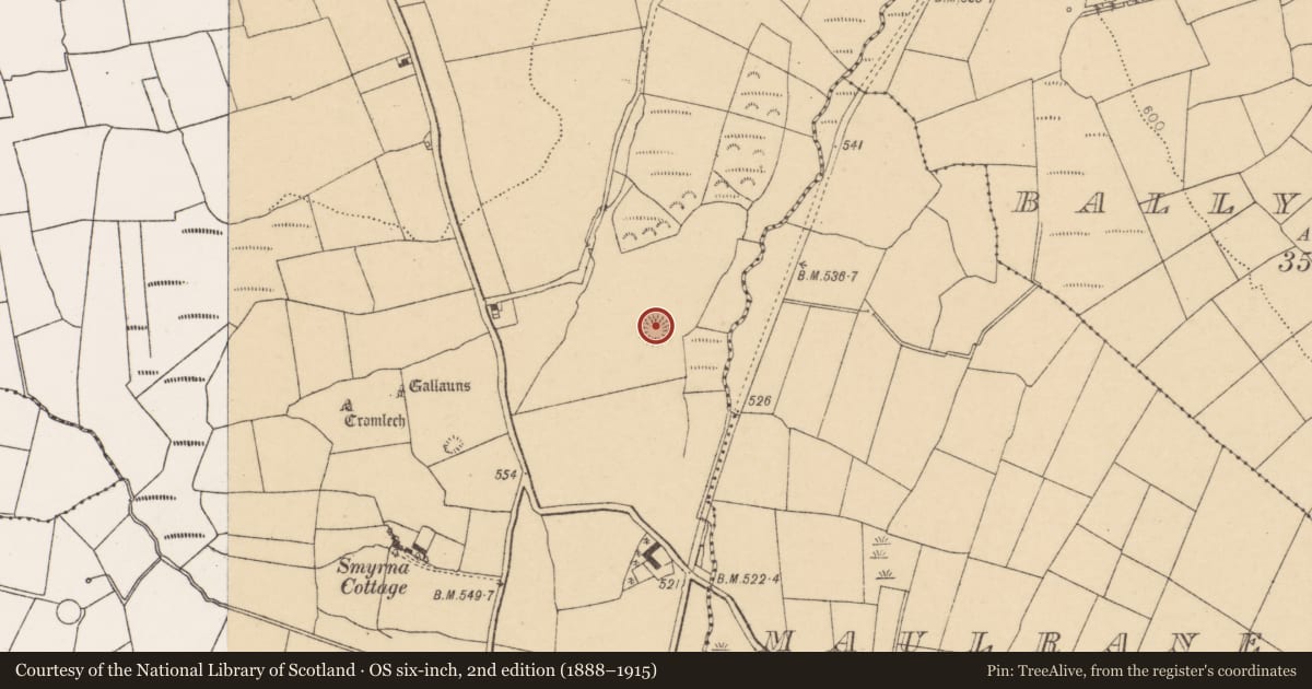 Ordnance Survey six-inch map, 2nd edition (1888–1915) covering the location of Ringfort - rath, Pluckanes North, County Cork, with a pin at the register's coordinates