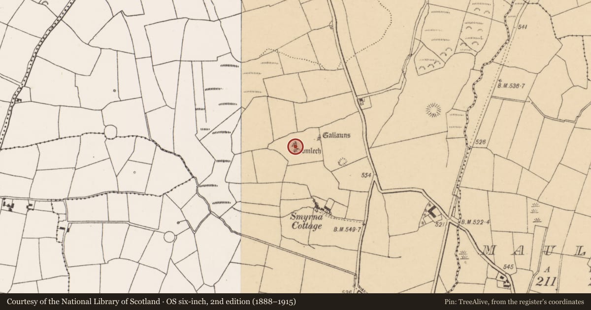 Ordnance Survey six-inch map, 2nd edition (1888–1915) covering the location of Stone circle - five-stone, Pluckanes North, County Cork, with a pin at the register's coordinates