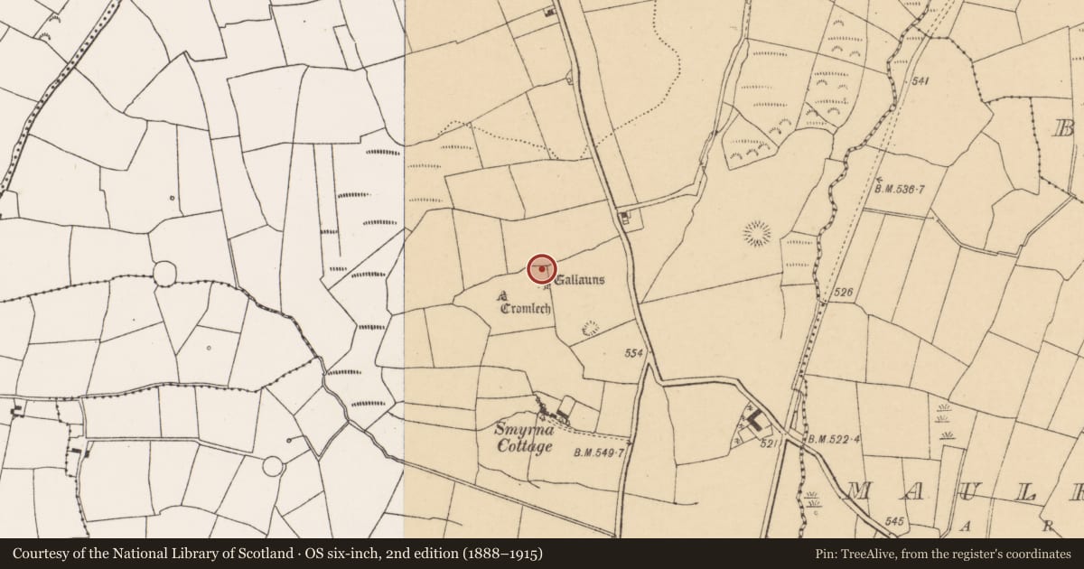 Ordnance Survey six-inch map, 2nd edition (1888–1915) covering the location of Standing stone, Pluckanes North, County Cork, with a pin at the register's coordinates