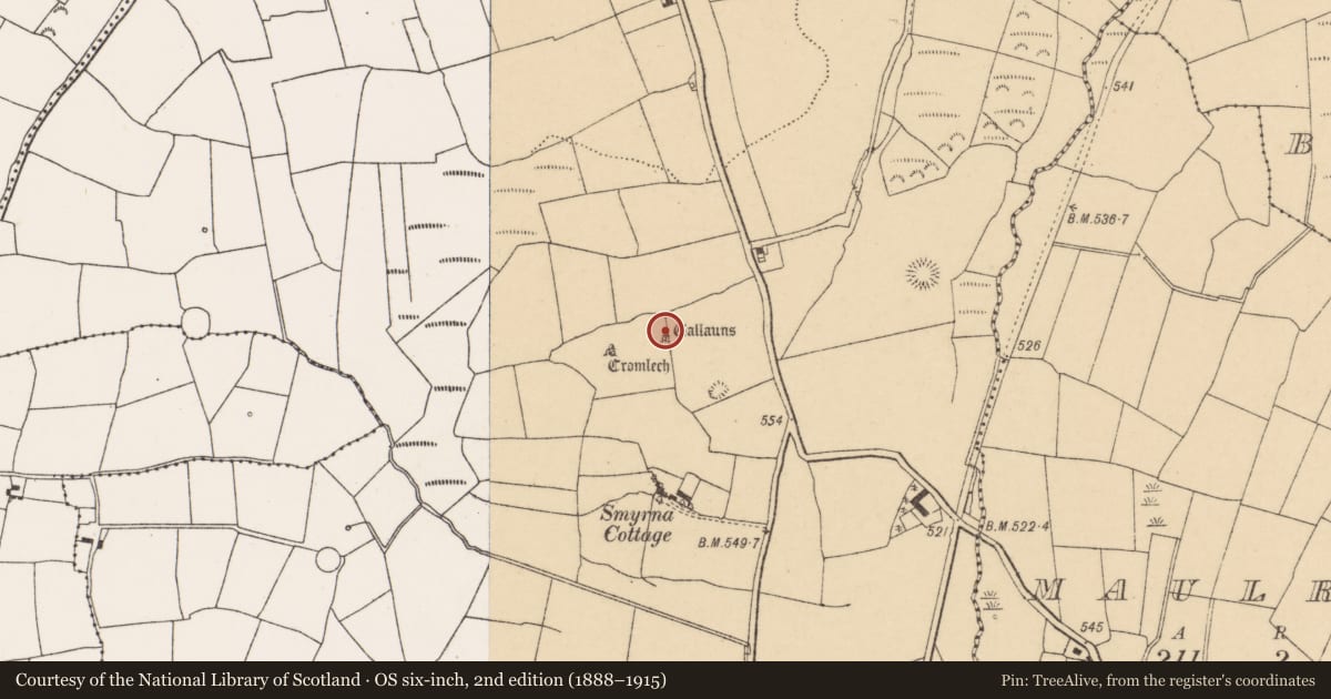 Ordnance Survey six-inch map, 2nd edition (1888–1915) covering the location of Stone row, Pluckanes North, County Cork, with a pin at the register's coordinates