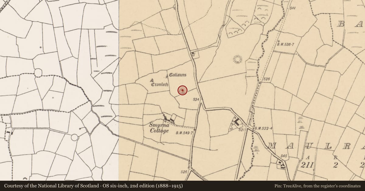 Ordnance Survey six-inch map, 2nd edition (1888–1915) covering the location of Quarry, Pluckanes North, County Cork, with a pin at the register's coordinates