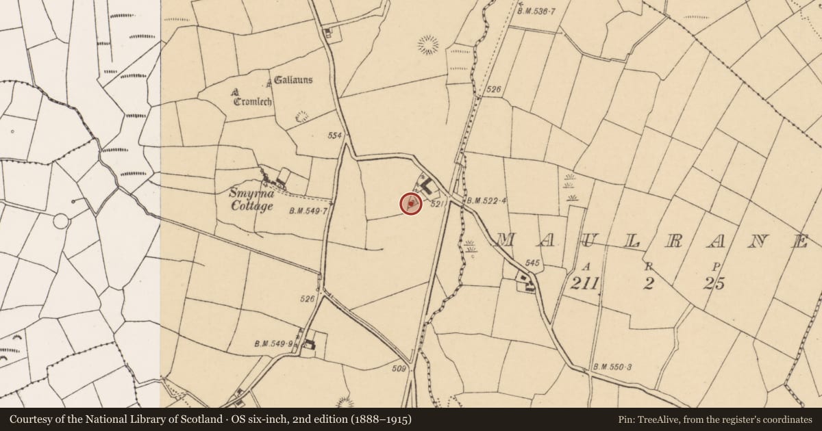 Ordnance Survey six-inch map, 2nd edition (1888–1915) covering the location of Ringfort - rath, Pluckanes North, County Cork, with a pin at the register's coordinates