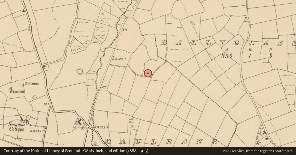 Ordnance Survey six-inch map, 2nd edition (1888–1915) covering the location of Fulacht fia, Maulrane, County Cork, with a pin at the register's coordinates