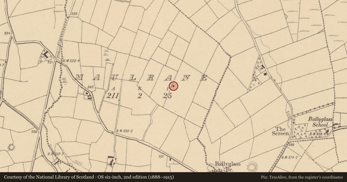 Ordnance Survey six-inch map, 2nd edition (1888–1915) covering the location of Standing stone, Maulrane, County Cork, with a pin at the register's coordinates