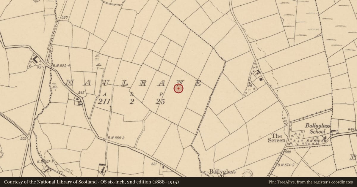 Ordnance Survey six-inch map, 2nd edition (1888–1915) covering the location of Standing stone, Maulrane, County Cork, with a pin at the register's coordinates