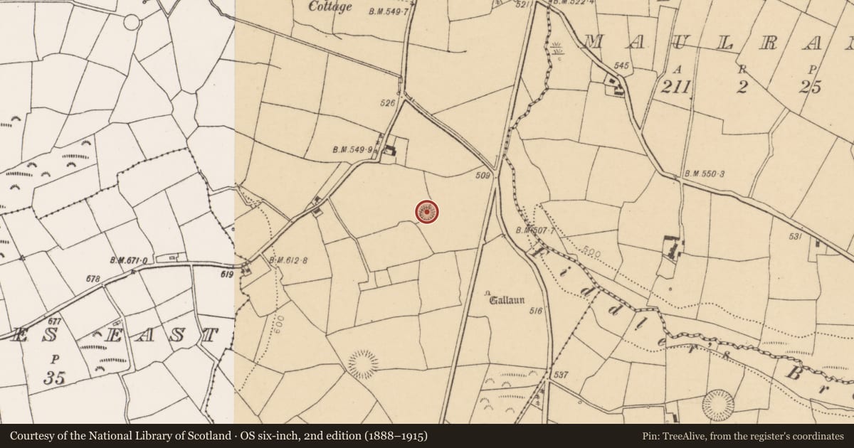Ordnance Survey six-inch map, 2nd edition (1888–1915) covering the location of Ringfort - rath, Pluckanes North, County Cork, with a pin at the register's coordinates