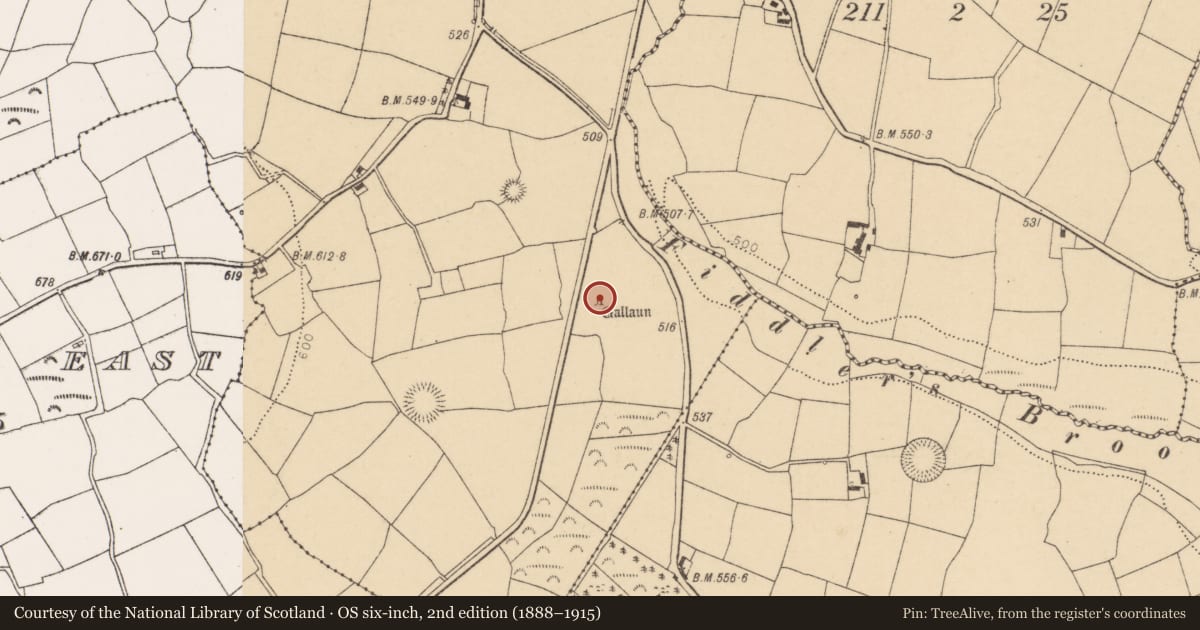 Ordnance Survey six-inch map, 2nd edition (1888–1915) covering the location of Standing stone, Pluckanes North, County Cork, with a pin at the register's coordinates