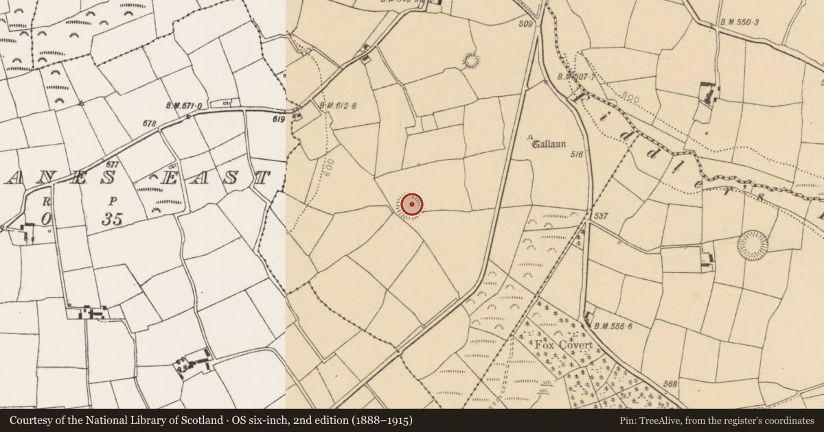 Ordnance Survey six-inch map, 2nd edition (1888–1915) covering the location of Ringfort - rath, Pluckanes North, County Cork, with a pin at the register's coordinates