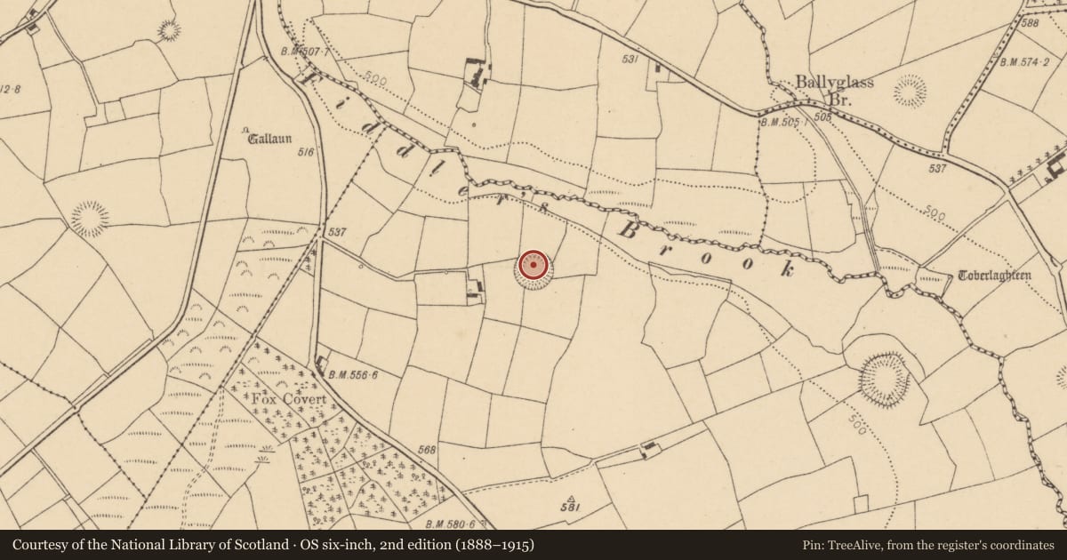 Ordnance Survey six-inch map, 2nd edition (1888–1915) covering the location of Ringfort - rath, Garraun North, County Cork, with a pin at the register's coordinates