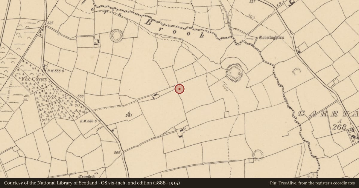 Ordnance Survey six-inch map, 2nd edition (1888–1915) covering the location of Standing stone, Garraun North, County Cork, with a pin at the register's coordinates