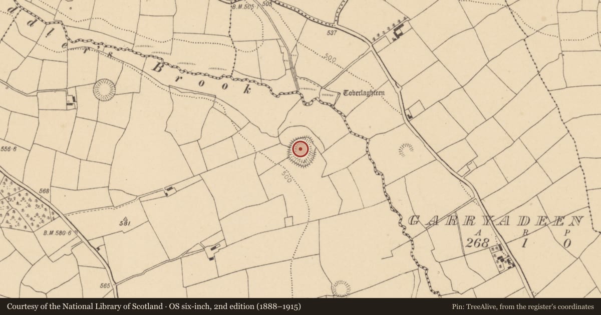Ordnance Survey six-inch map, 2nd edition (1888–1915) covering the location of Ringfort - rath, Garraun North, County Cork, with a pin at the register's coordinates