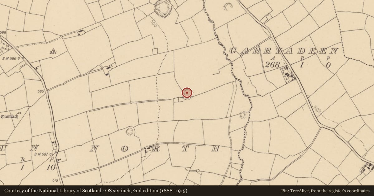 Ordnance Survey six-inch map, 2nd edition (1888–1915) covering the location of Ringfort - rath, Garraun North, County Cork, with a pin at the register's coordinates