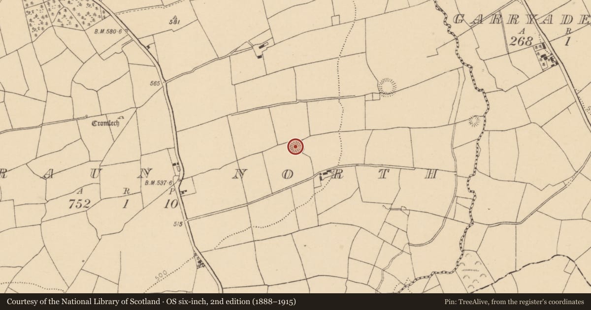 Ordnance Survey six-inch map, 2nd edition (1888–1915) covering the location of Ringfort - rath, Garraun North, County Cork, with a pin at the register's coordinates