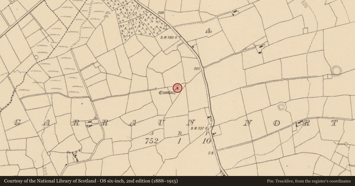 Ordnance Survey six-inch map, 2nd edition (1888–1915) covering the location of Standing stone, Garraun North, County Cork, with a pin at the register's coordinates