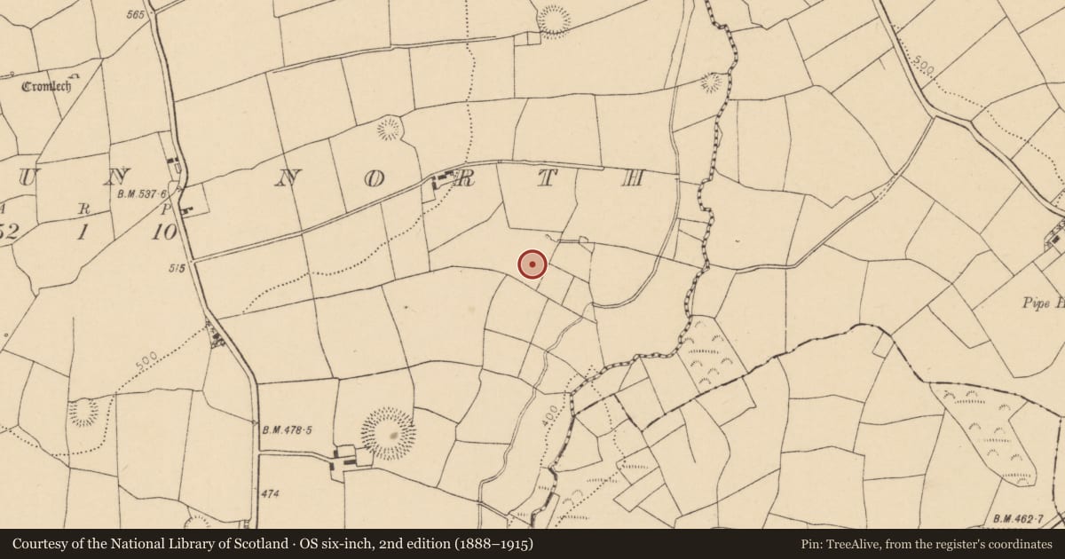 Ordnance Survey six-inch map, 2nd edition (1888–1915) covering the location of Fulacht fia, Garraun North, County Cork, with a pin at the register's coordinates