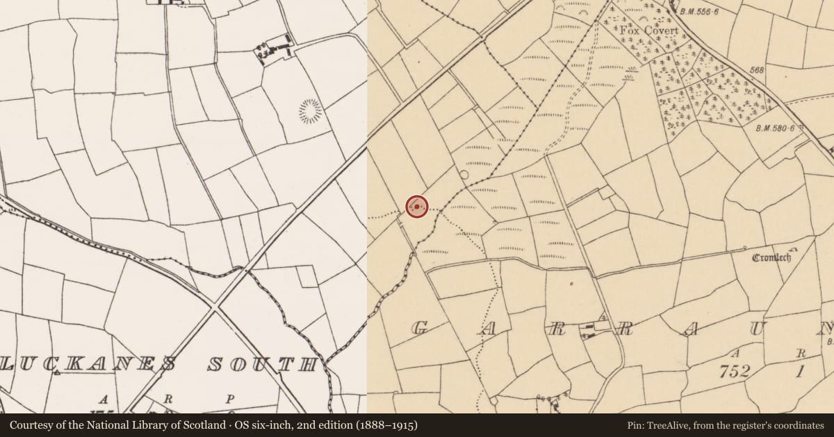 Ordnance Survey six-inch map, 2nd edition (1888–1915) covering the location of Fulacht fia, Pluckanes East, County Cork, with a pin at the register's coordinates