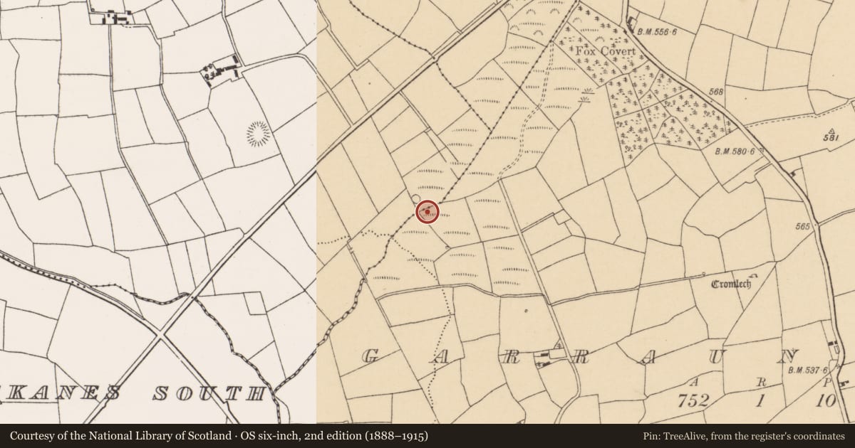 Ordnance Survey six-inch map, 2nd edition (1888–1915) covering the location of Fulacht fia, Garraun North, County Cork, with a pin at the register's coordinates