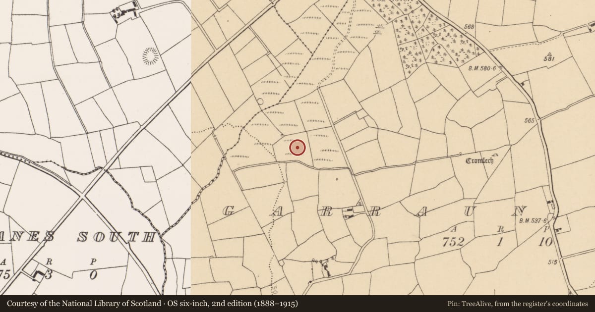 Ordnance Survey six-inch map, 2nd edition (1888–1915) covering the location of Standing stone, Garraun North, County Cork, with a pin at the register's coordinates